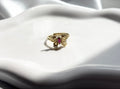 Ruby Butterfly Ring